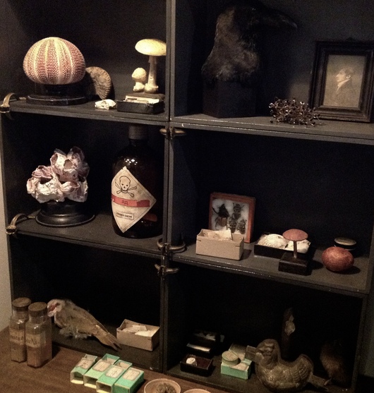 c0094013_1191256.jpg