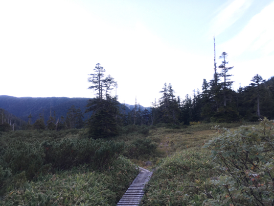 e0132713_18290674.jpg
