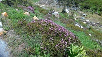 a0177314_00374794.jpg