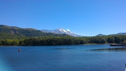 a0177314_17414169.jpg