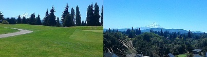 a0177314_17494143.jpg