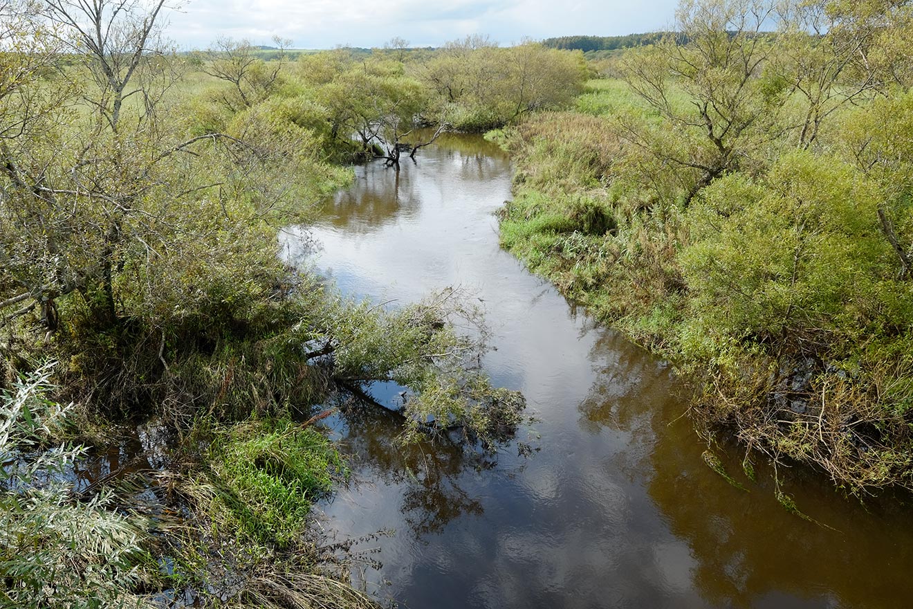 b0189415_22204662.jpg
