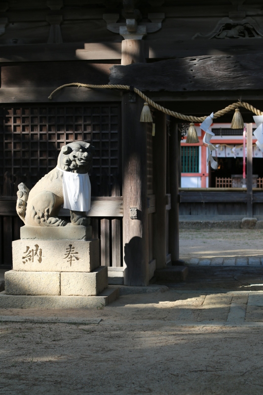 海辺の神社_a0278716_20583034.jpg