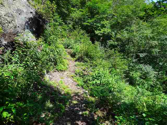 a0243317_814632.jpg