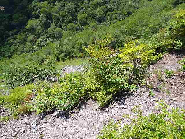 a0243317_8201851.jpg