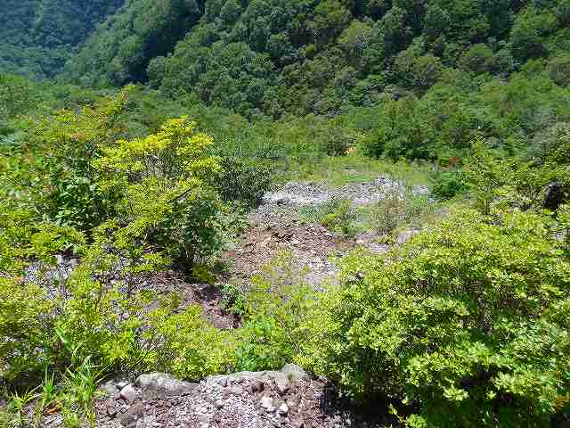 a0243317_8305629.jpg