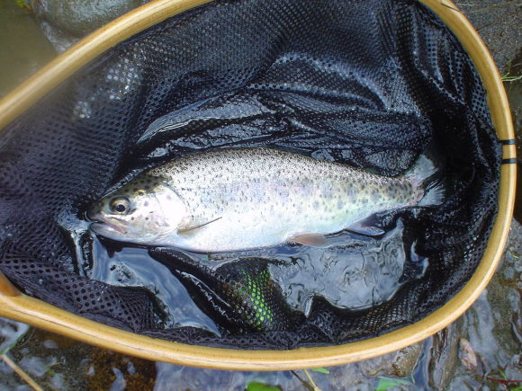 f0280717_15092542.jpg