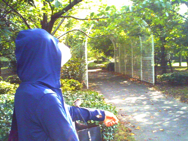 f0032021_1730746.jpg