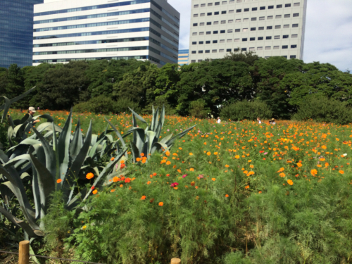 suzu散歩 浜離宮恩賜庭園_d0066024_04100856.jpg