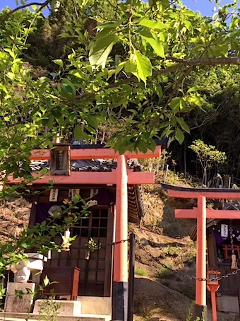 六甲山と瀬織津姫 50 猿田彦大神_a0300530_15272206.jpg