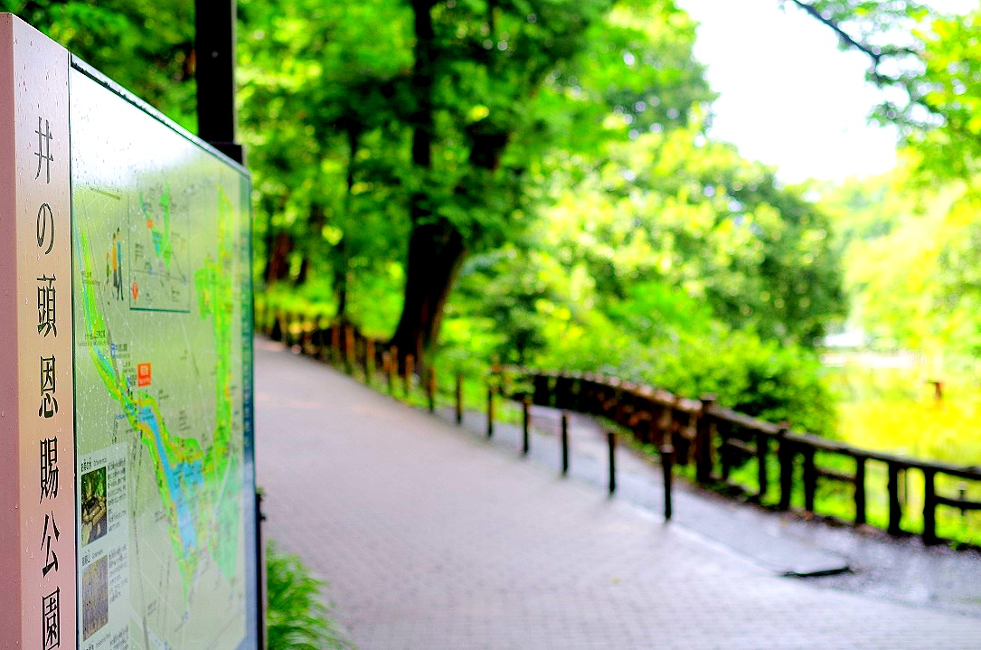 お写ん歩とポケモンgo 井の頭公園 桜日和 Season3
