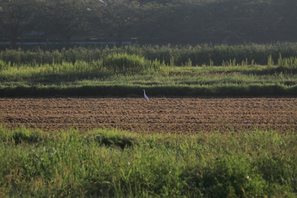 f0229832_09342041.jpg