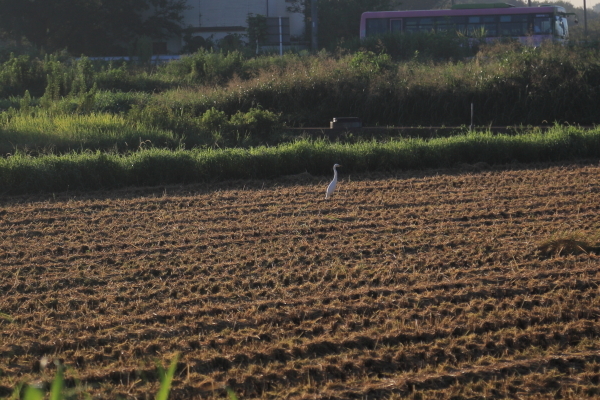 f0229832_09352059.jpg