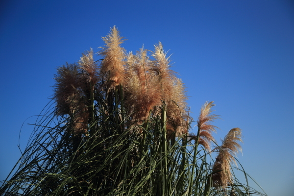 f0229832_09364722.jpg