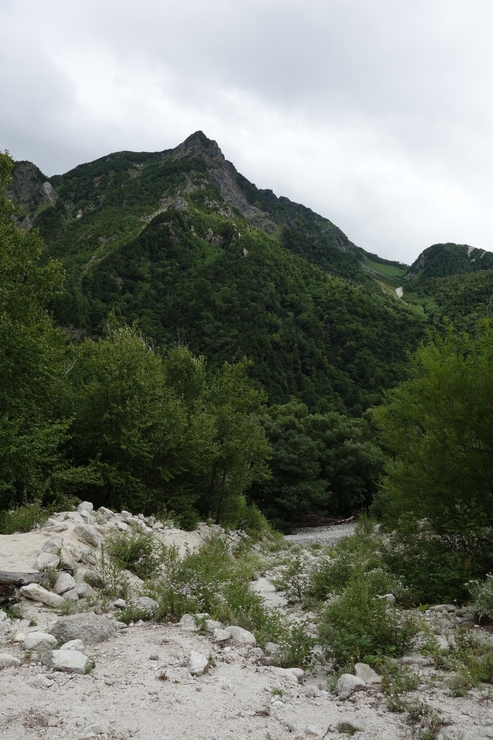 a0287336_15412670.jpg