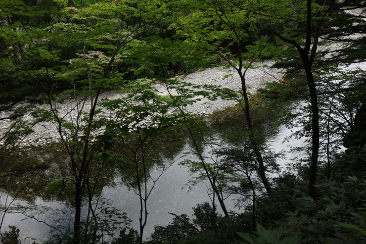 a0287336_1546758.jpg