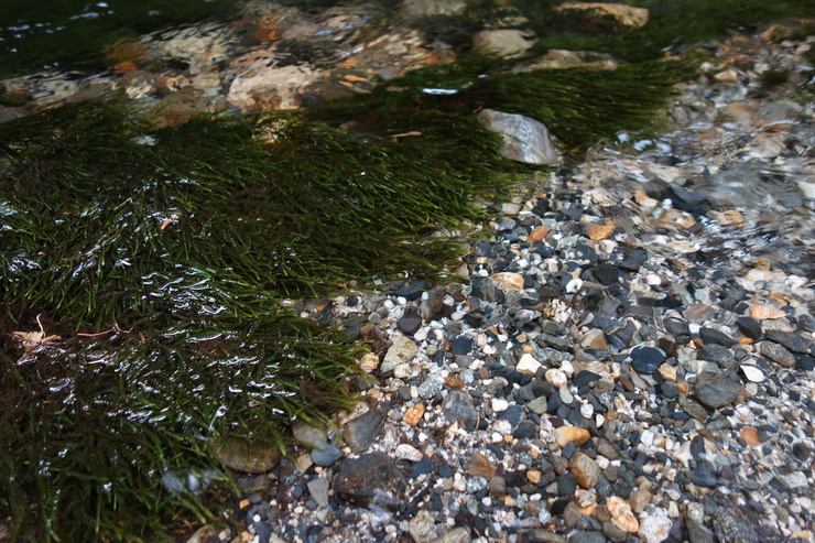 a0287336_15593975.jpg
