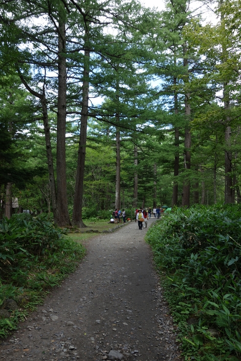 a0287336_1603935.jpg