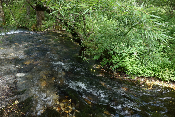 a0287336_16232552.jpg