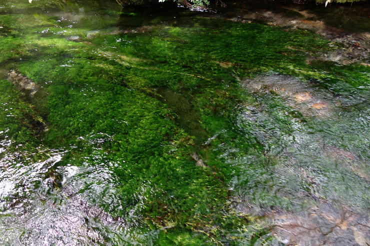 a0287336_1623843.jpg