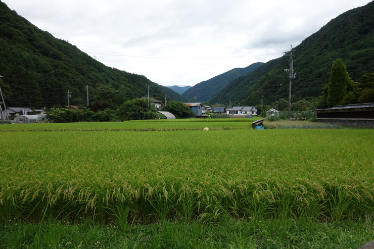 a0287336_1916050.jpg