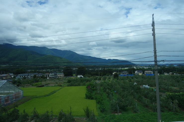 a0287336_192353100.jpg