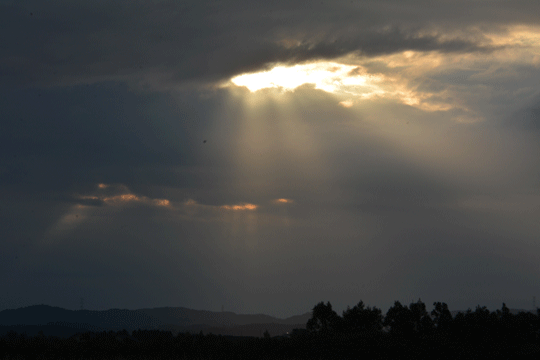c0093046_862360.gif