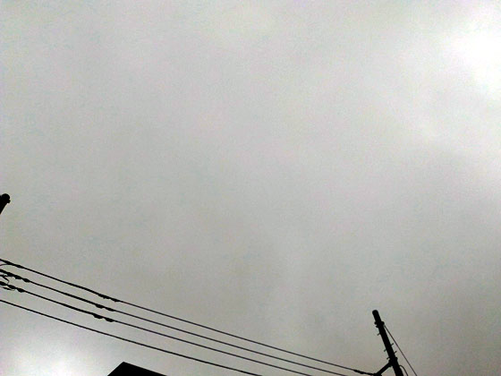 c0335348_17313262.jpg