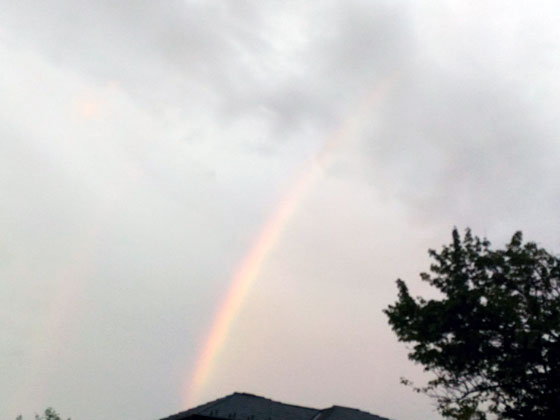 c0335348_17321019.jpg