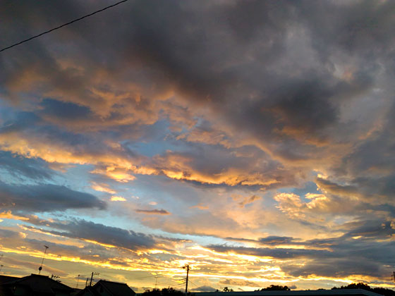 c0335348_17321436.jpg
