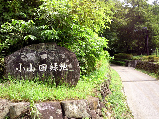 c0335348_17473170.jpg