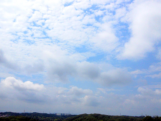 c0335348_17473473.jpg