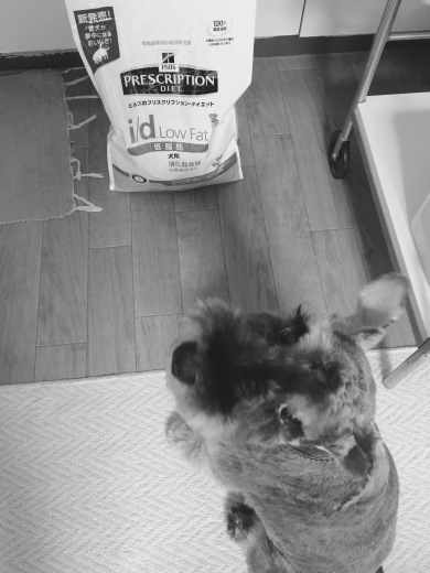 b0346851_13195466.jpeg