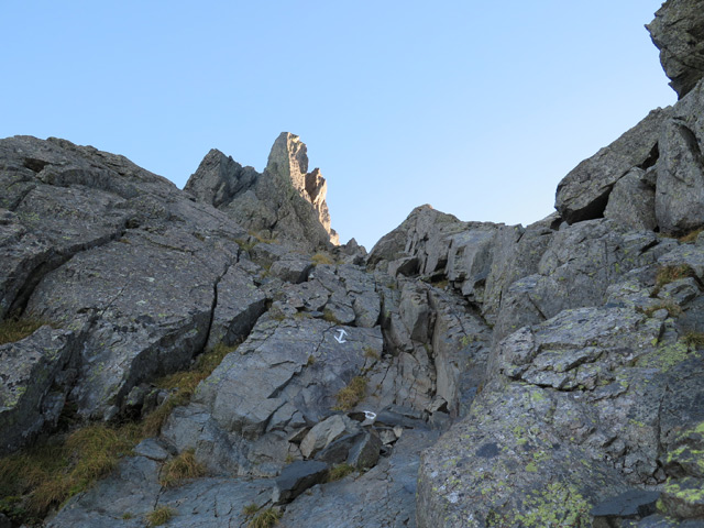 c0116856_2005910.jpg
