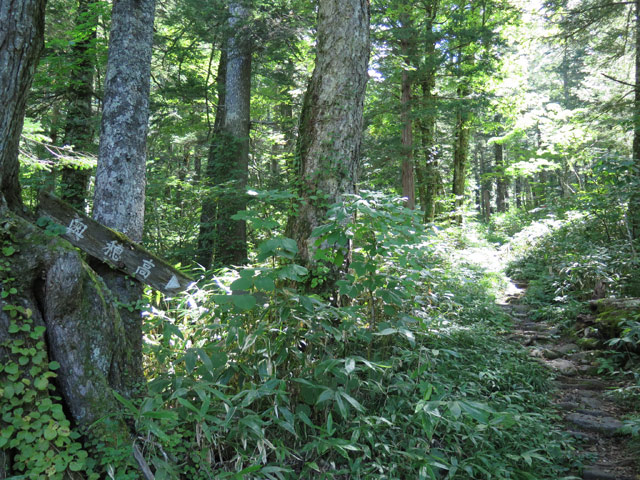 c0116856_2025311.jpg