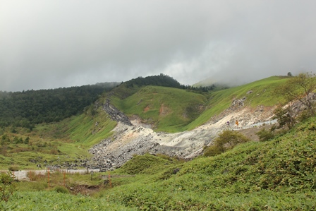 a0208560_1484836.jpg