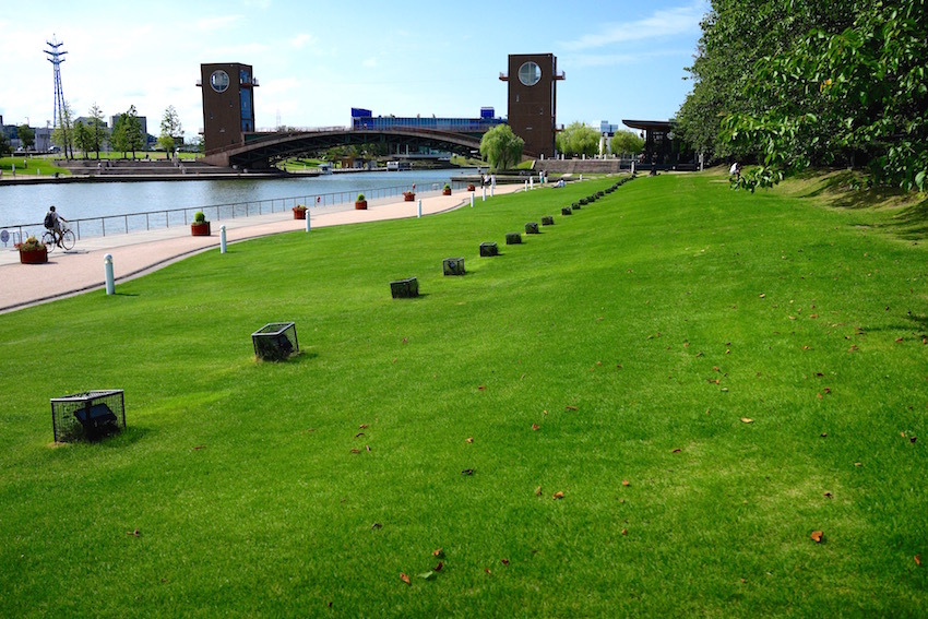 f0134963_21460914.jpg