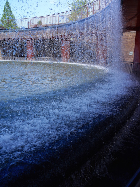 f0134963_21493403.jpg