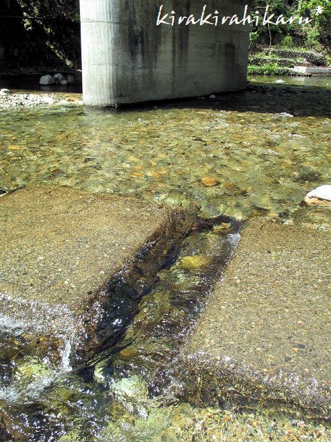 e0173670_13232532.jpg