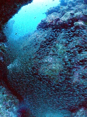 b0033573_00302464.jpg