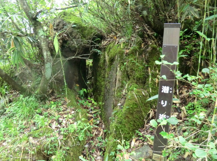 b0185573_8254272.jpg