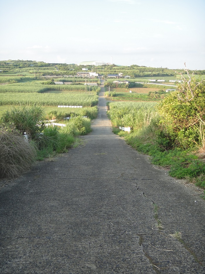 f0238779_16545690.jpg