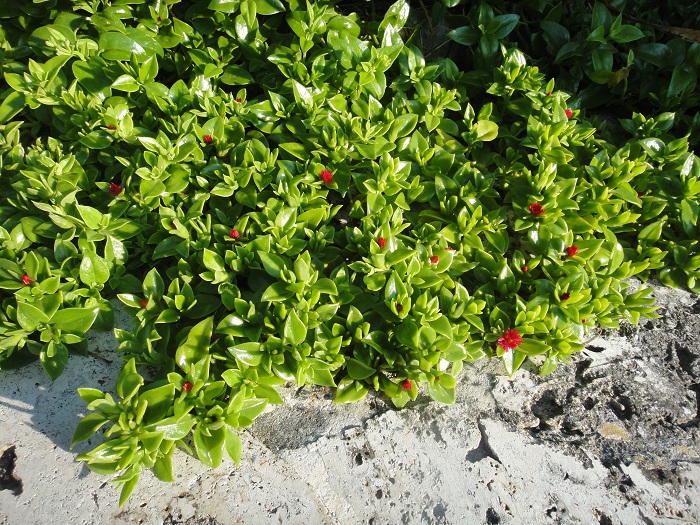 f0238779_16572555.jpg