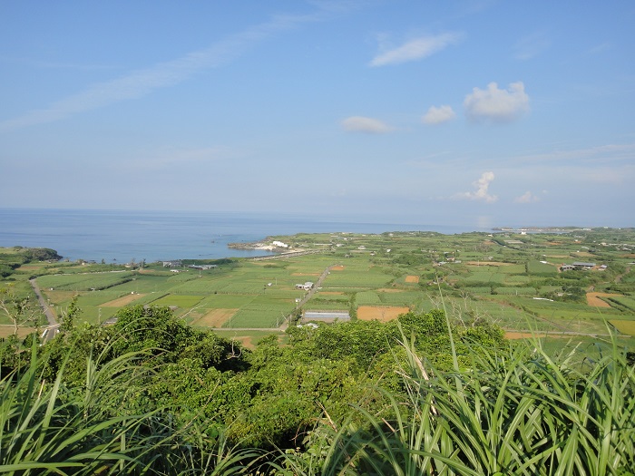 f0238779_170357.jpg