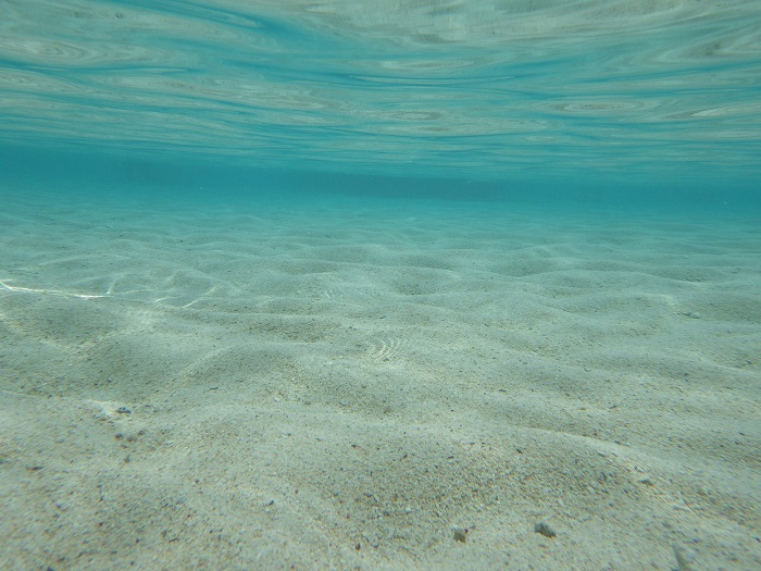 f0238779_17104735.jpg