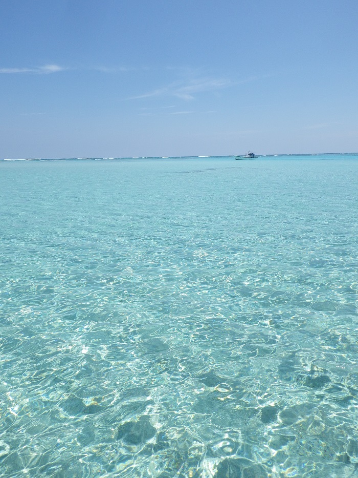 f0238779_1710620.jpg