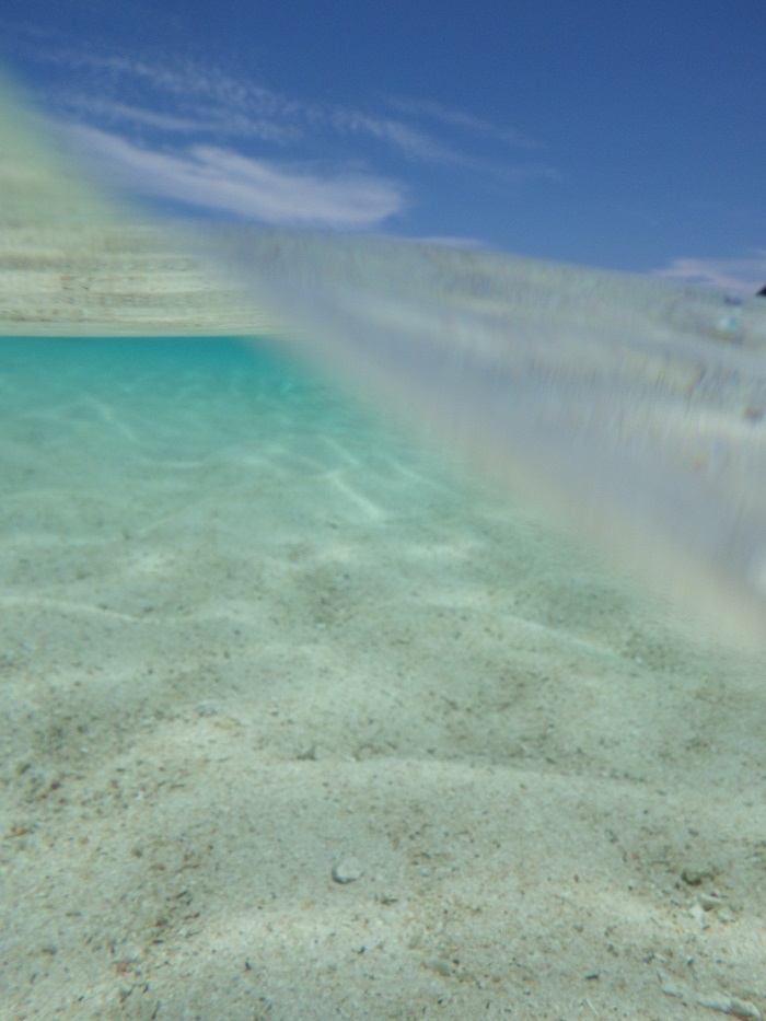 f0238779_1711165.jpg