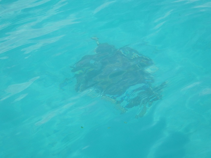 f0238779_17152781.jpg
