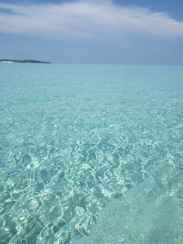 f0238779_1715934.jpg