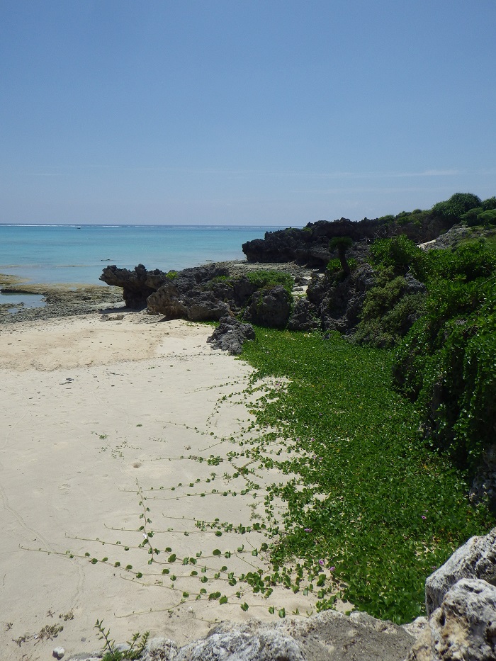 f0238779_1771745.jpg